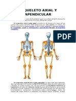 Esqueleto Axial y Apendicular 2