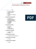 Diagnóstico Sociodemográfico Del Mpio de Toluca-COESPO