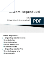 Sistem Reproduksi Dr.eka