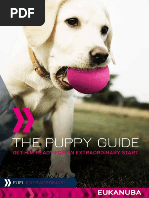 Eukanuba the Puppy Guide