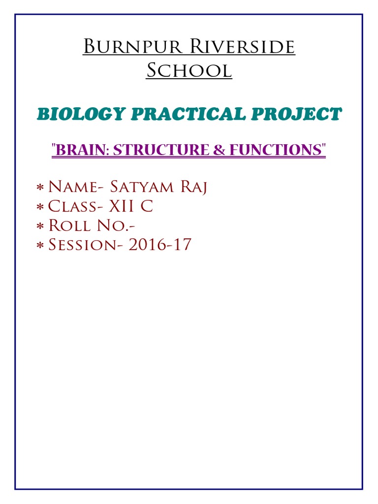 Burnpur Riverside School: Biology Practical Project | PDF | Technology ...