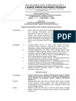 SK Direktur  ttg  Panduan kredensial staf medik.docx