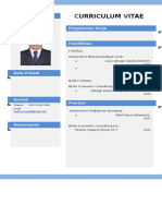 Curriculum Vitae