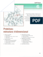 Cap 6. Proteinas Estructura Tridimencional PDF