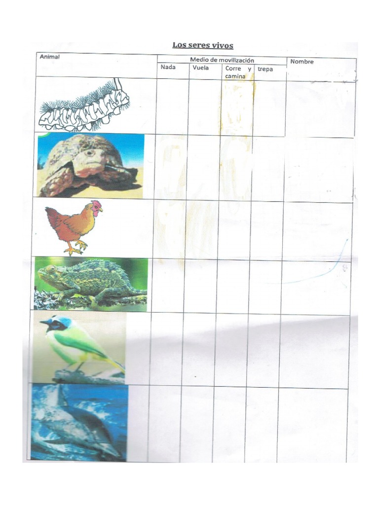 Guia Del Desplazamiento de Los Animales | PDF