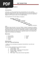 Rat Dissection Student Version