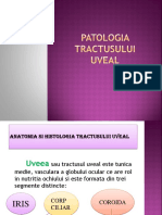 Patologia Tractusului Uveal