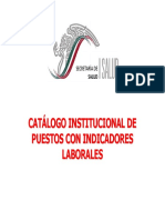 Catalogo Institucional de Puestos Con Indicadores Laborales
