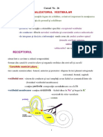 c7-vestib-ncl-bazali.pdf