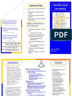 Intellectual Disability 2