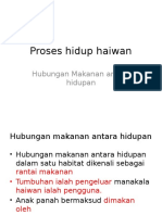 Proses Hidup Haiwan - Rantai Makanan