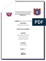 213525383-Practica-Densidad.docx