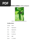 Download TANAMAN GAMBAS by Hendrik_Nurfitrianto SN34322432 doc pdf