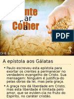 Plante para Colher