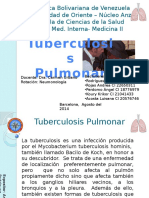 Tuberculosis Pulmonar: Epidemiología, Etiología y Patogenia