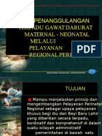 02 Pelayanan Perinatal Regional-SR