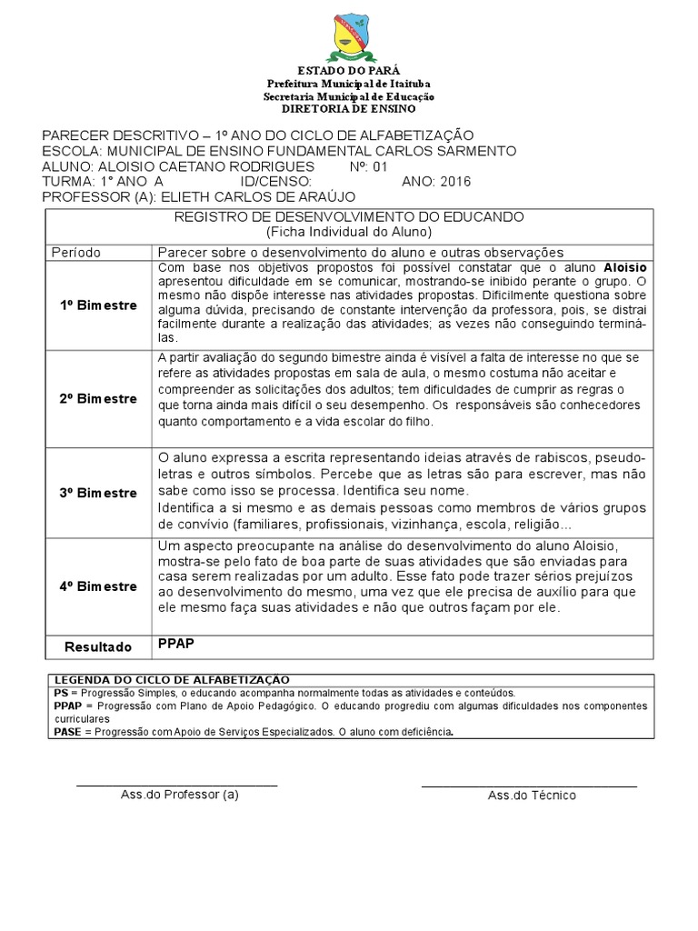 Parecer Descritivo 1º Ano Fundamental | PDF | Alfabetização | Pedagogia