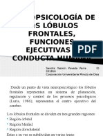 Lobulos Frontales