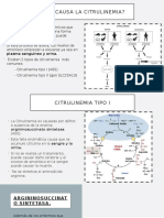 Citrulinemia Final