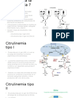 Qué Causa La Citrulinemia