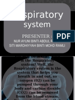 Sistem Respiratori