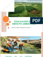 Diapositivas Evaluacion Del Impacto Ambiental