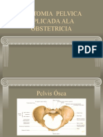 Dr Moya Anatomia Pelvica