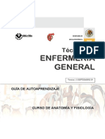 cursodeanatomiayfisiologia-120525204214-phpapp02.pdf