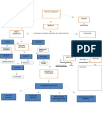 MAPA CONCEPTUAL