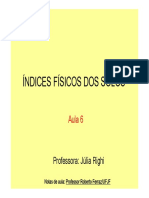 Aula 6_Índices_Físicos