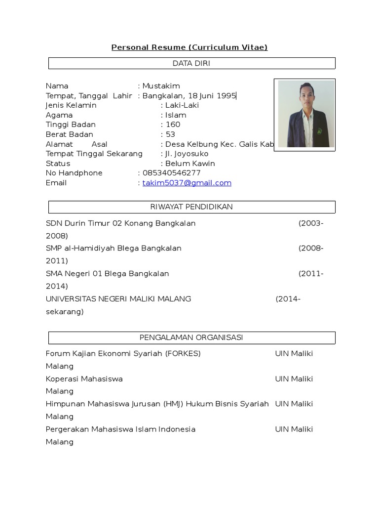 Curriculum Vitae BI