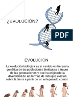 EVOLUCIÓN