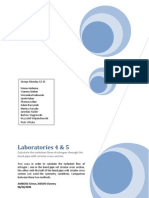 CFX Laboratories 4 and 5 (2nd Version) - Simon Amboise and Vianney Kieken