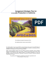 AVO - A Pest Management Strategic Plan For Avocado Production in California PDF