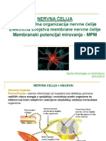 Opsta Fiziologija Sa Biofizikom - Neuron