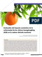 Evaluacion Del Impacto Economico HLB