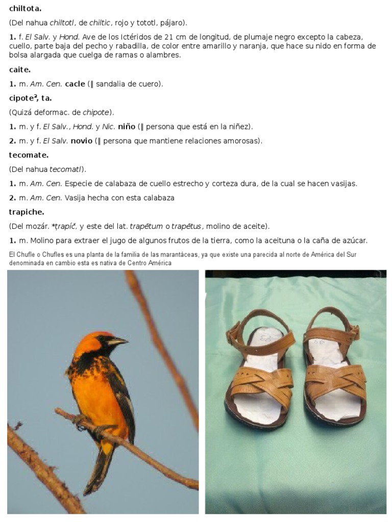 Chiltota Chiltota | PDF | Libros para adolescentes