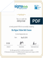 Six Sigma Yellow Belt 2016-09-28-12-27-33