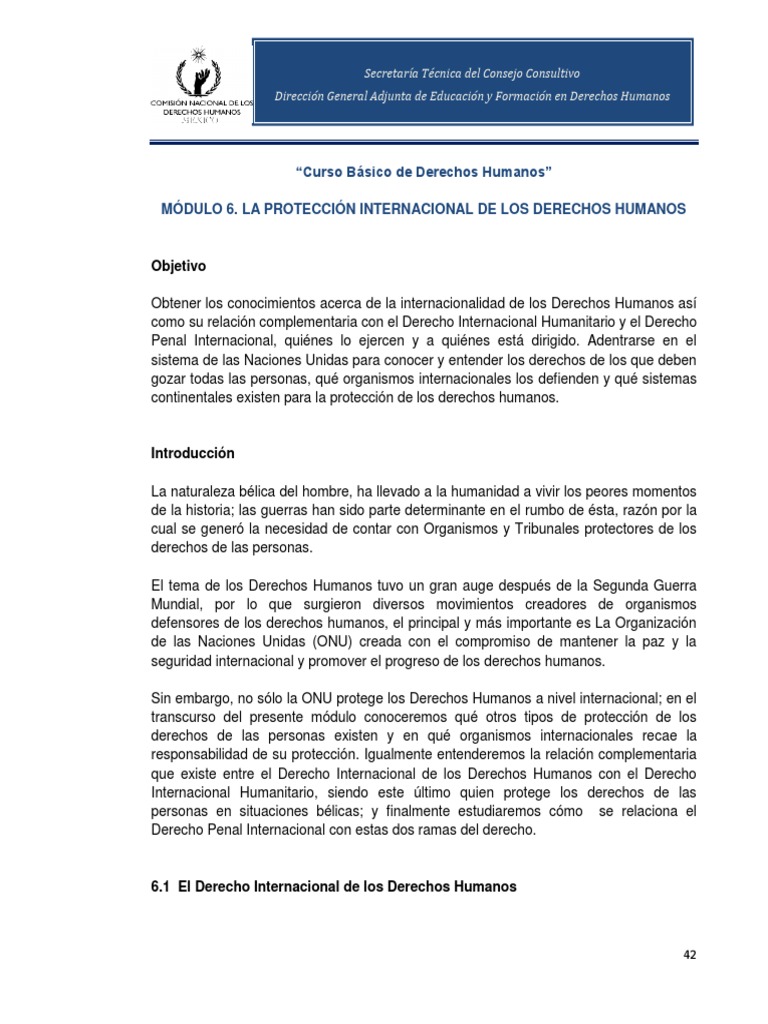 Protección Internacional de Derechos Humanos | PDF | Naciones Unidas ...