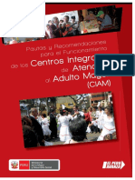 PAUTAS_CIAM[1].pdf