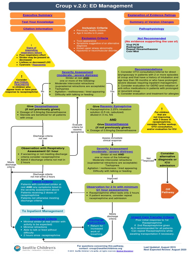 Croup Pathway Pdf Download Free Pdf Health Care Medicine