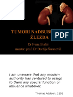 Tumori Nadbubreznih Zlezda