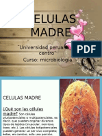 Celulas Madre