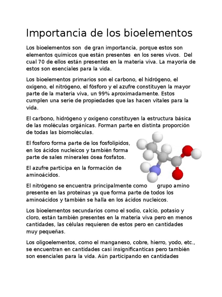 Destino a la deriva agradable Importancia de Los Bioelementos | PDF | Biomoléculas | Organismos