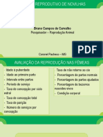 Manejo reprodutivo de novilhas: fatores que afetam a puberdadeEste título captura os principais pontos do documento de uma forma sucinta e otimizada para mecanismos de busca