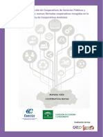 Manual Cooperativas Mixtas Completo PDF