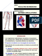 Sistema circulatorio: estructura y función del corazón