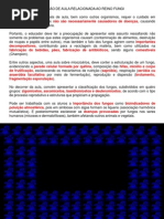 Download Reino Fungi by sedro3 SN34334779 doc pdf