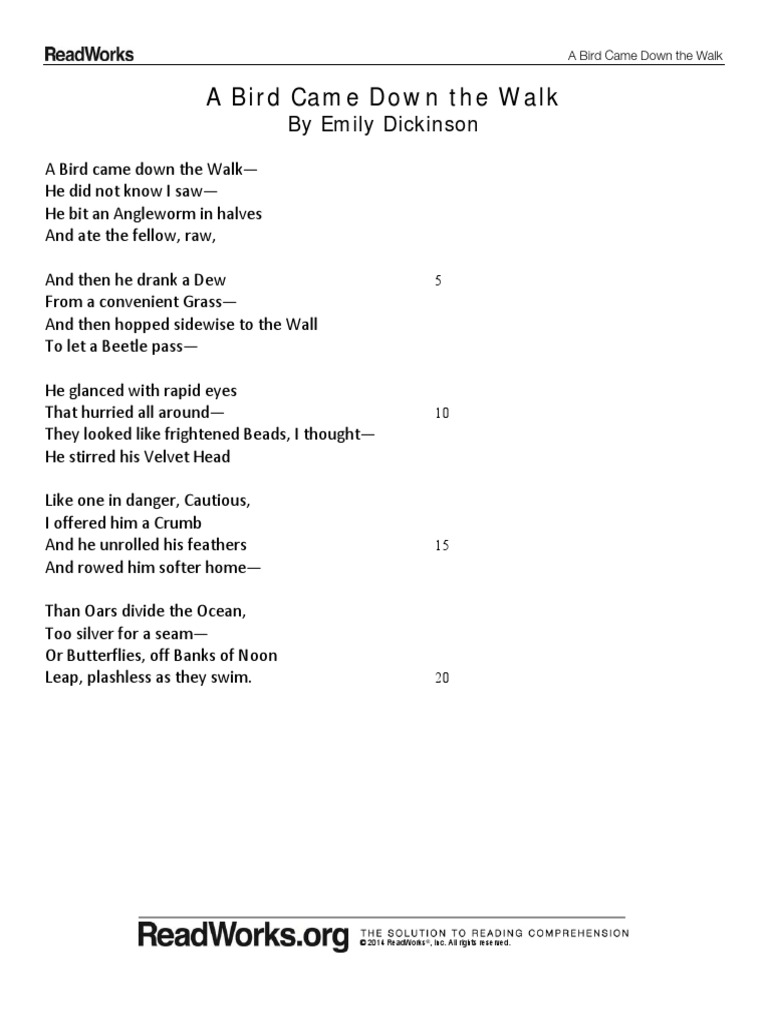 A Bird Came Down The Walk NP Passage and Questions PDF Nature