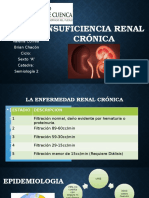 Insuficiencia renal crónica: causas, síntomas y tratamientos